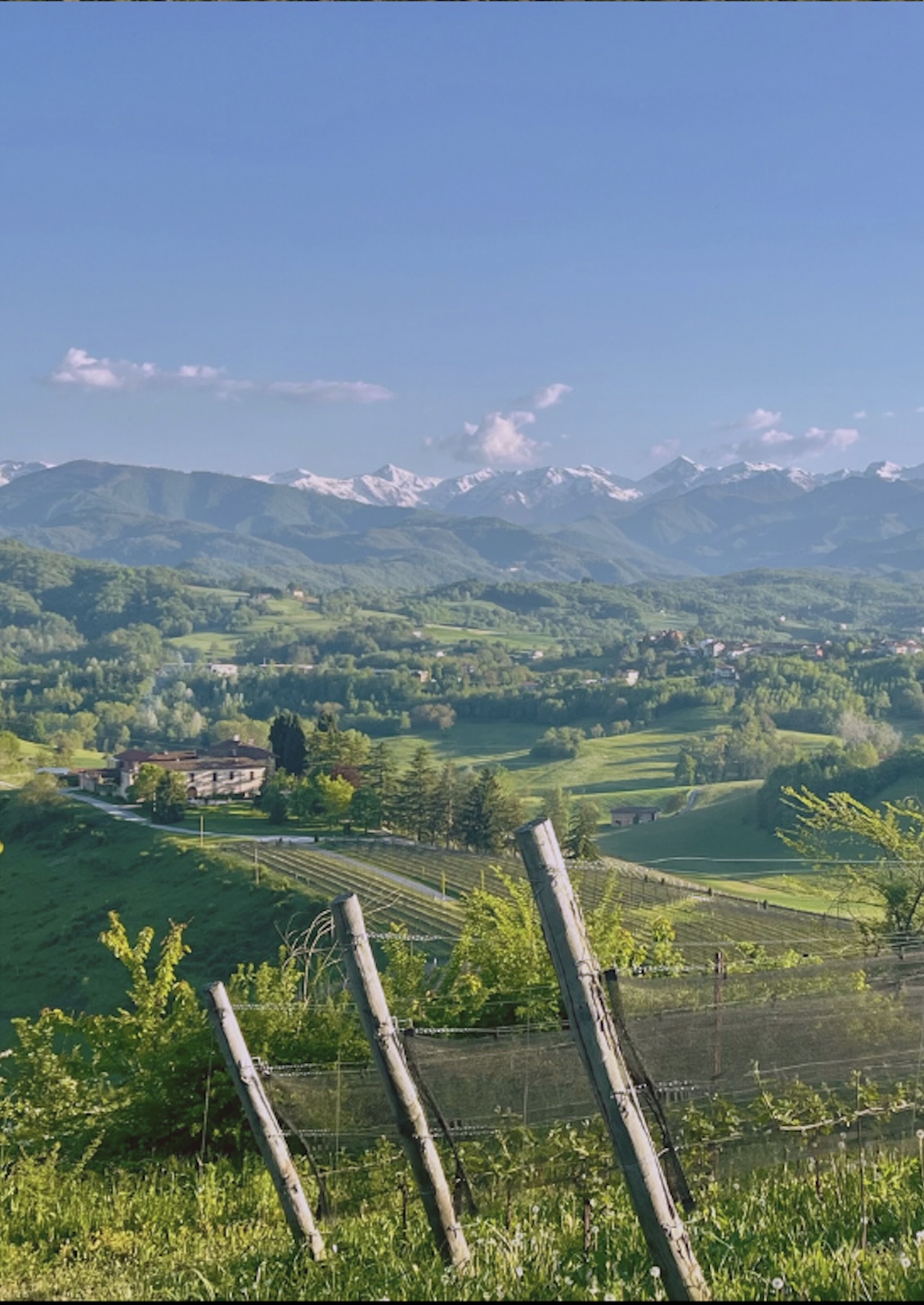 Vigneti di Monsignore a Vicoforte