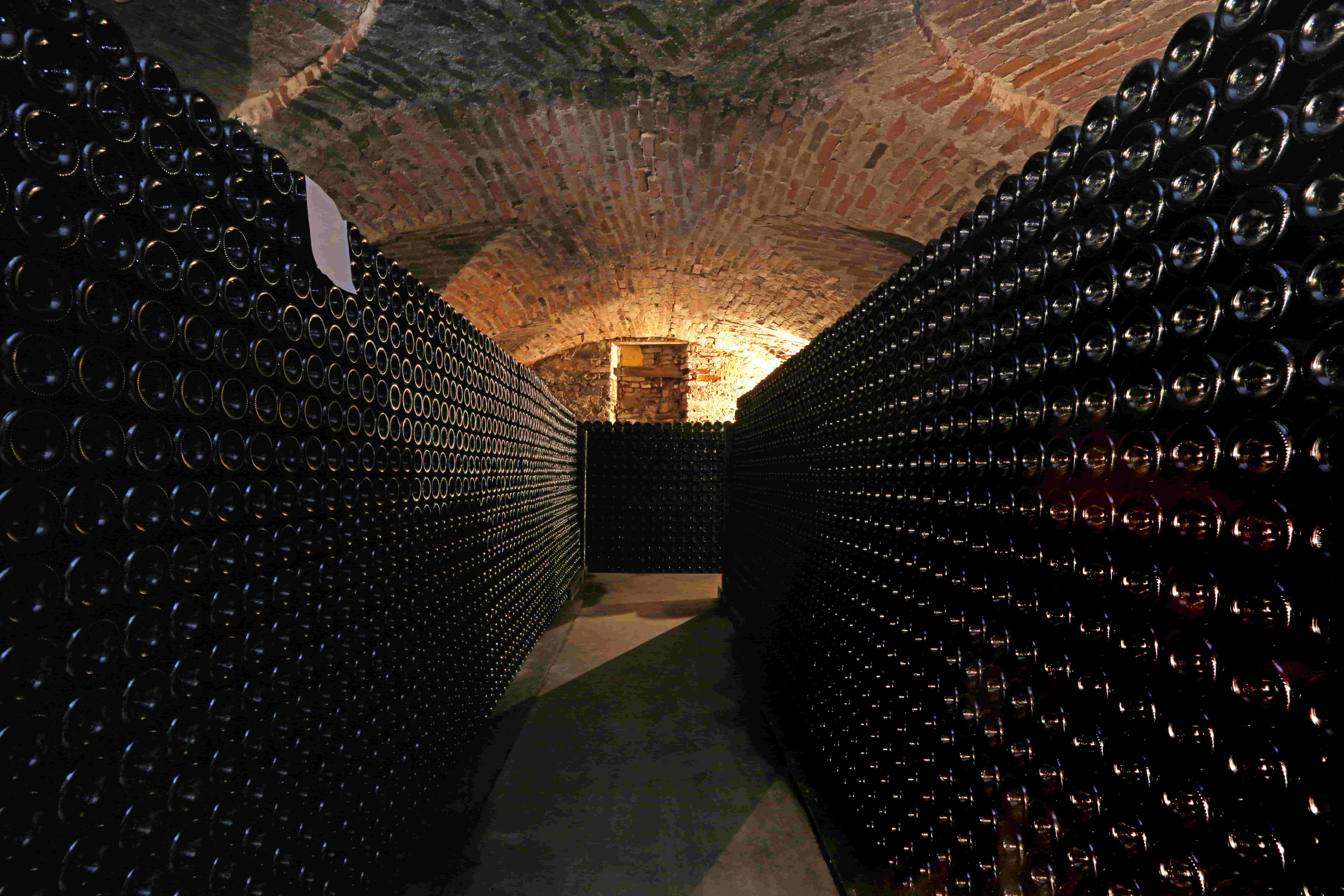Cantina e bottiglie